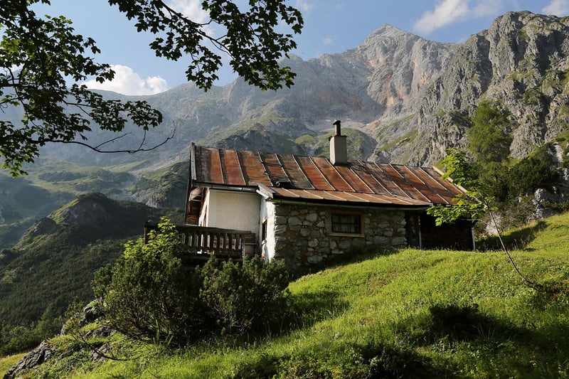 Treehouse Lodges